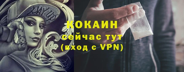 шишки Армянск