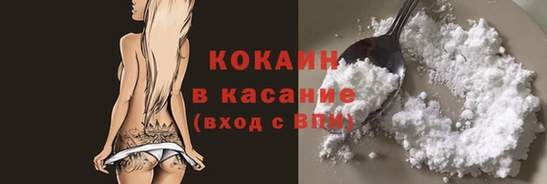 шишки Армянск