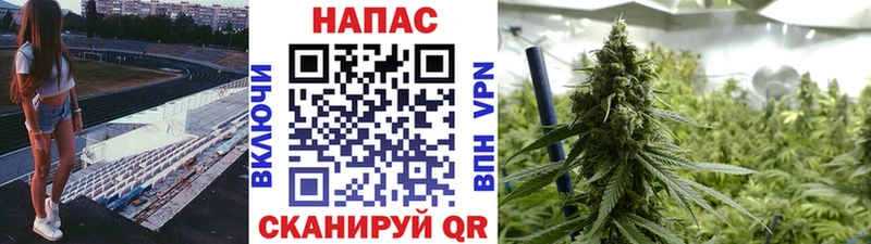 хочу наркоту Очёр Канабис индика